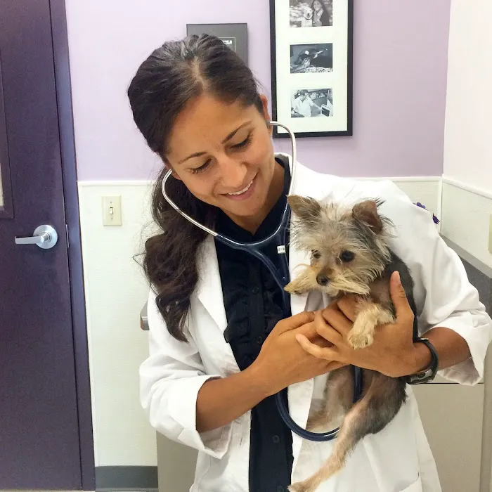 Family VetCare of Phoenix Picture 2
