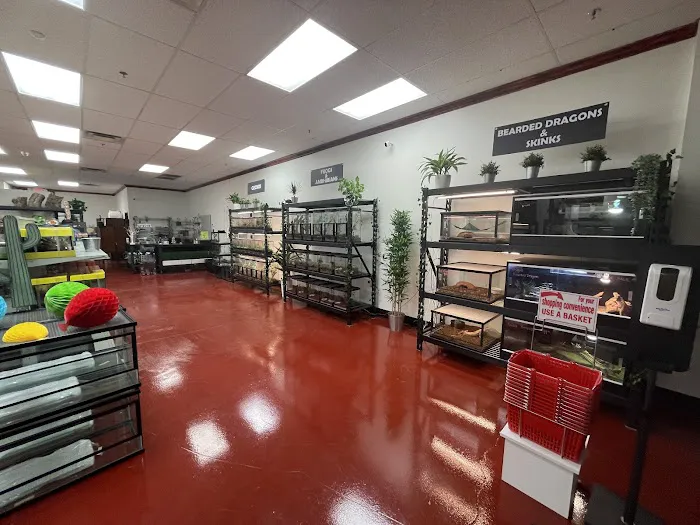 The Reptile Store Picture 9
