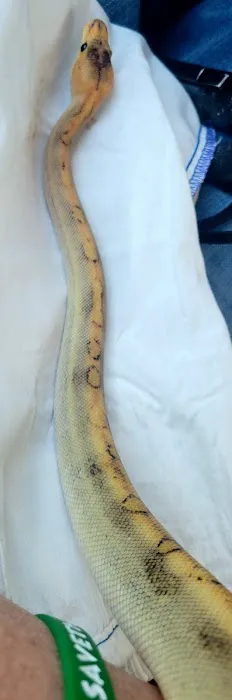 The Reptile Store Picture 8