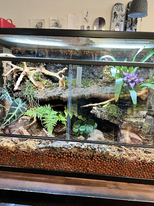 The Reptile Store Picture 2