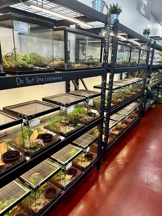 The Reptile Store Picture 7