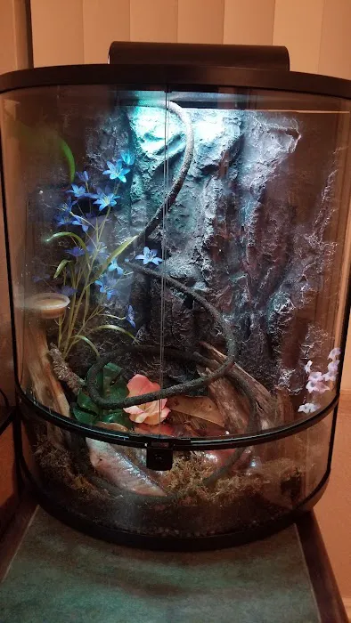 The Reptile Store Picture 5