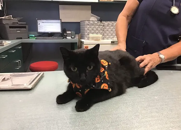 Pecan Grove Veterinary Hospital Picture 5