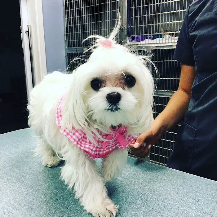 Pecan Grove Veterinary Hospital Picture 3