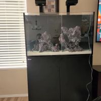 Kona Reef Az - Chandler ico