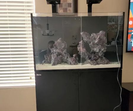 Kona Reef Az - Chandler