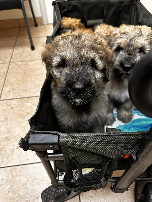 Kennel Care Veterinary Hospital Picture 7