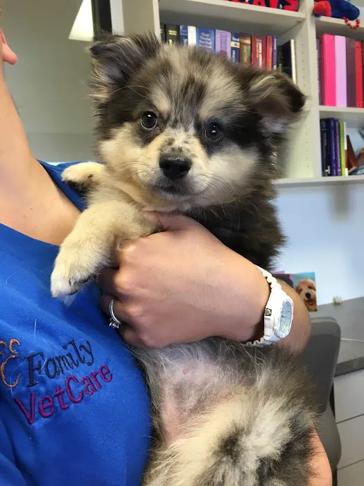 Family VetCare of Chandler Picture 2