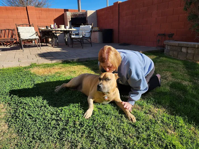 KC In-Home Pet Euthanasia Picture 4