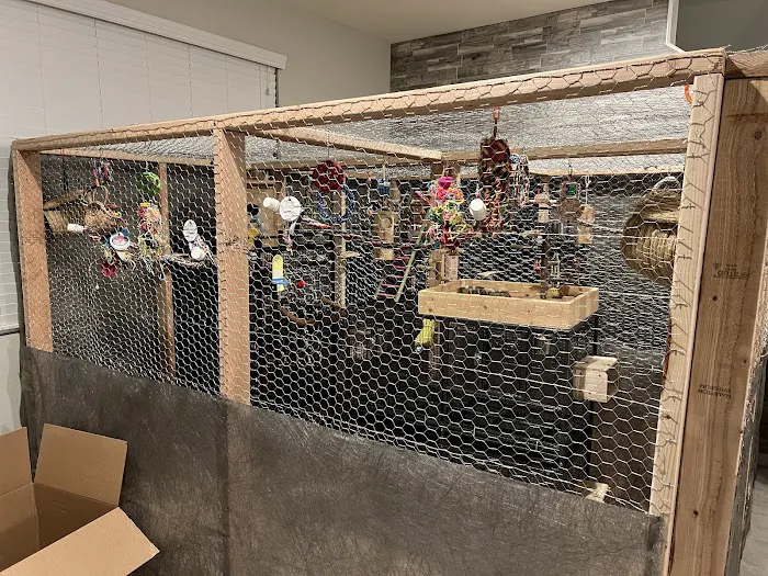 Desert Rose Aviary Picture 10