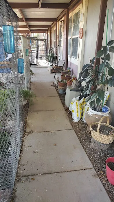 Desert Rose Aviary Picture 5
