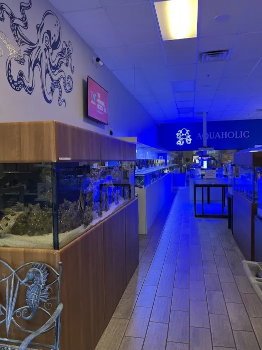 Aquaholic Aquariums LLC Picture 3