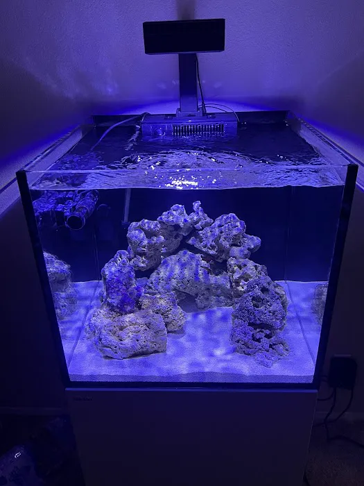 Aquaholic Aquariums LLC Picture 4