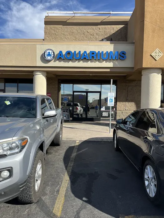 Aquaholic Aquariums LLC Picture 10