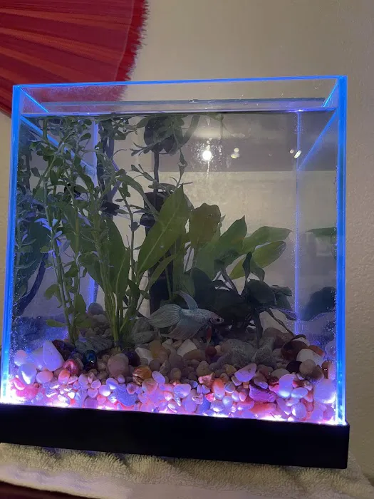 Aquaholic Aquariums LLC Picture 2