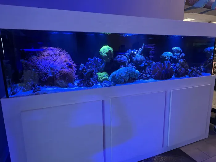 Aquaholic Aquariums LLC Picture 7