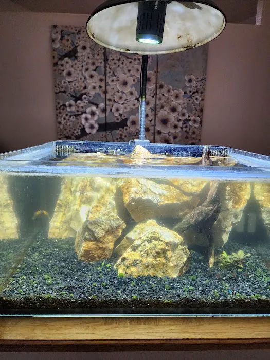 Aquaholic Aquariums LLC Picture 1