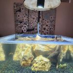 Aquaholic Aquariums LLC