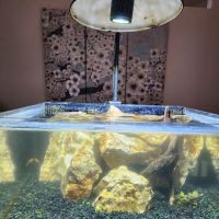 Aquaholic Aquariums LLC ico