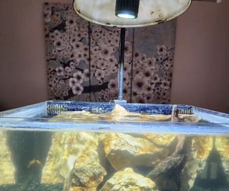 Aquaholic Aquariums LLC
