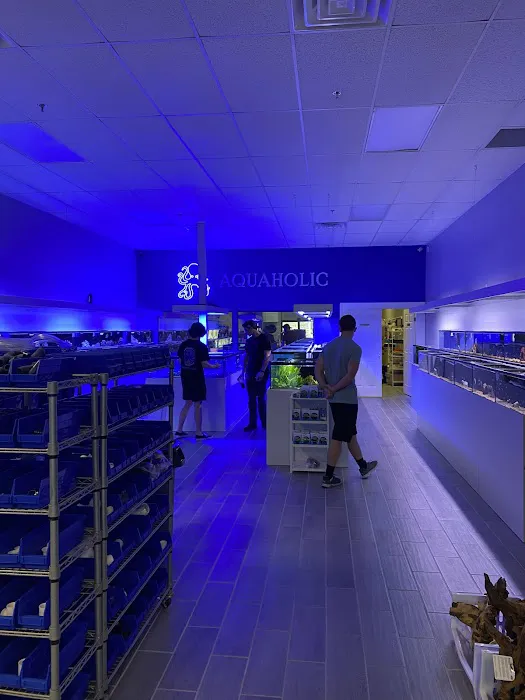 Aquaholic Aquariums LLC Picture 6