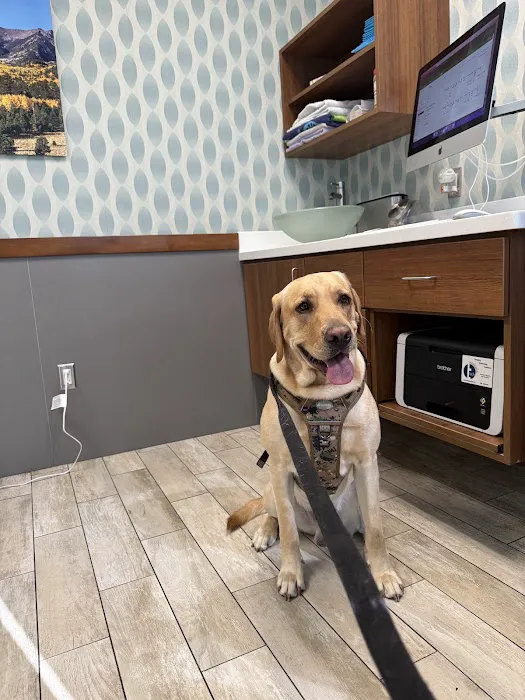 1st Pet Veterinary Centers - North Valley Picture 2