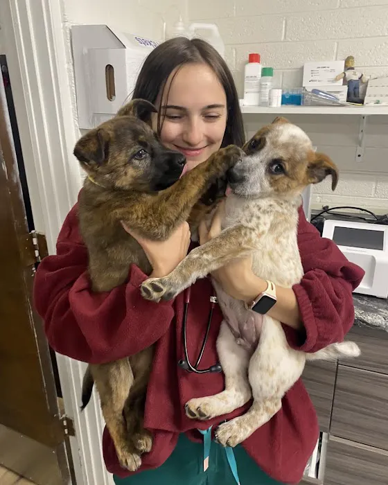 Neighborhood Veterinary Clinic Picture 1