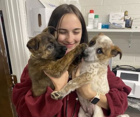 Neighborhood Veterinary Clinic
