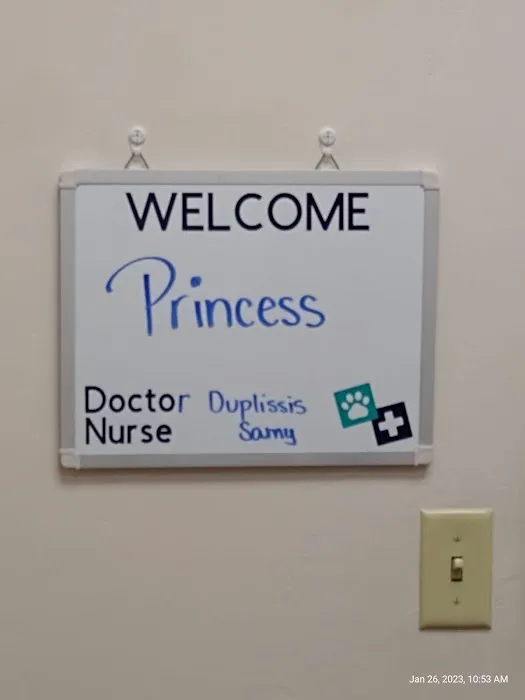 Dr. Marnie Duplissis, DVM CVCP Picture 2