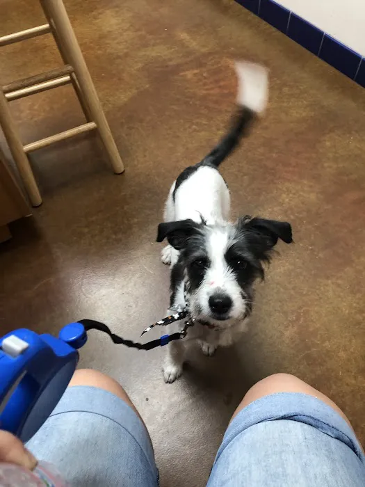 McClintock Animal Care Center Picture 5