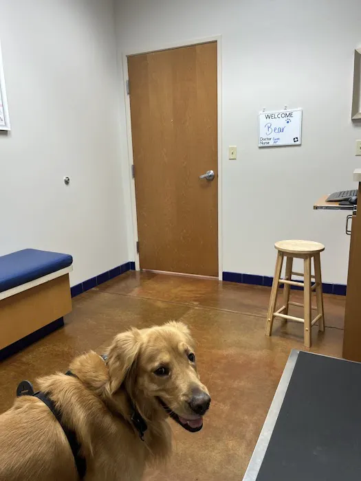 McClintock Animal Care Center Picture 10