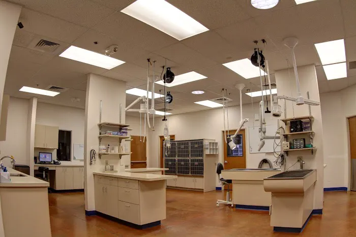 McClintock Animal Care Center Picture 3