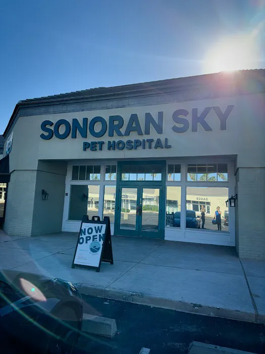 Sonoran Sky Pet Hospital Picture 5