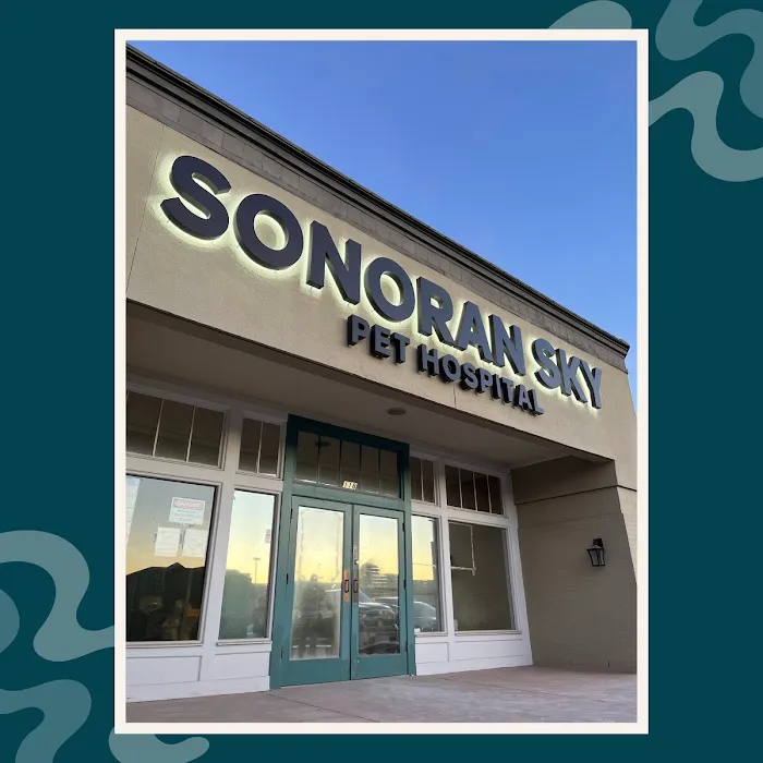 Sonoran Sky Pet Hospital Picture 1