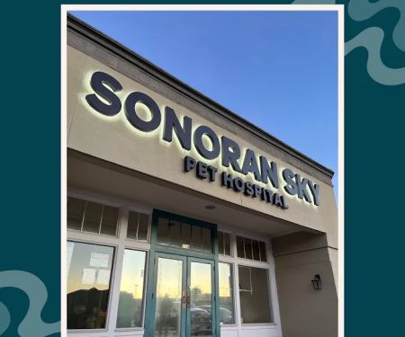 Sonoran Sky Pet Hospital