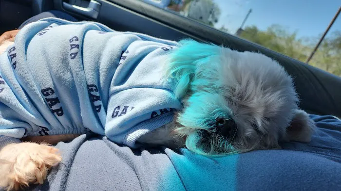 Pride Animal Hospital Picture 1