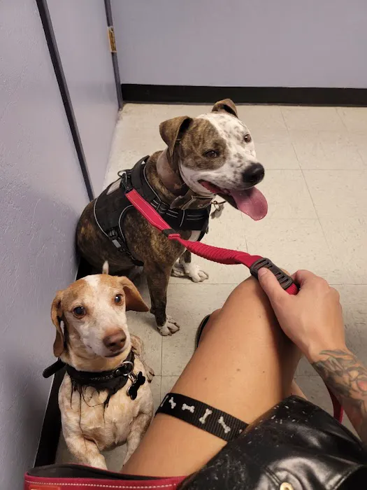 Pride Animal Hospital Picture 10