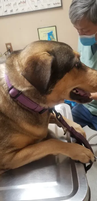 Pride Animal Hospital Picture 5