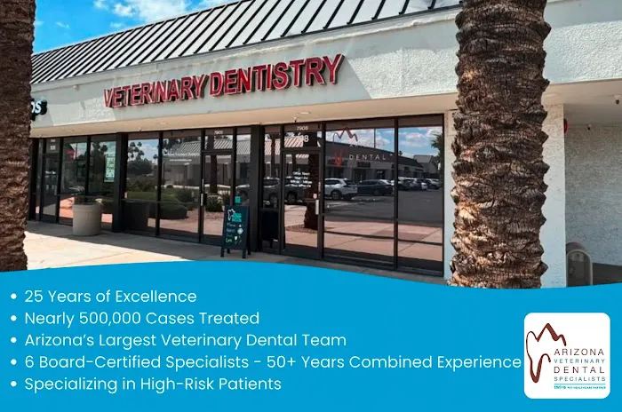 Arizona Veterinary Dental Specialists - Scottsdale Picture 3