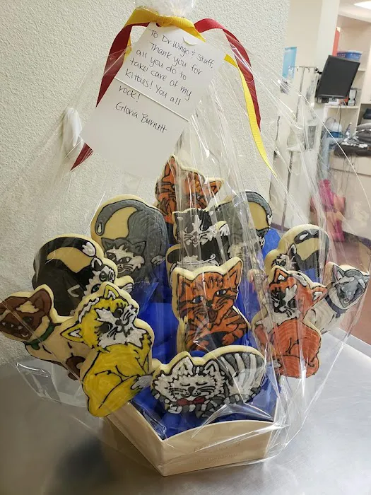 Arizona Veterinary Dental Specialists - Scottsdale Picture 8