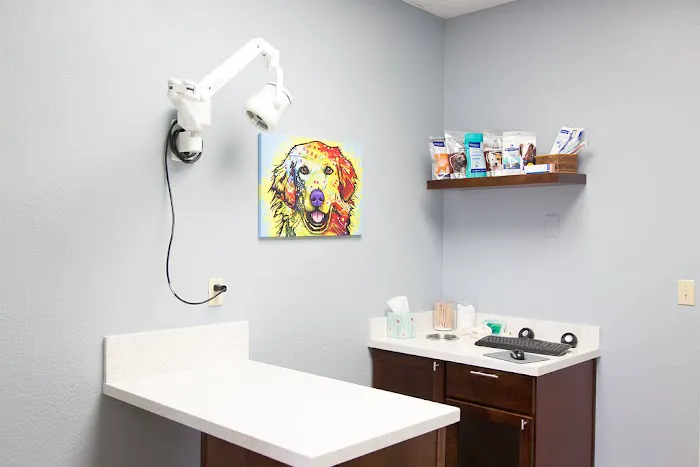 Arizona Veterinary Dental Specialists - Scottsdale Picture 9