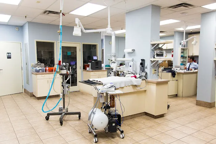 Arizona Veterinary Dental Specialists - Scottsdale Picture 2