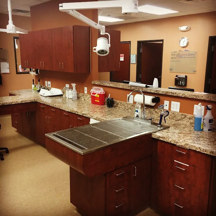 Scottsdale Cat Clinic Picture 6