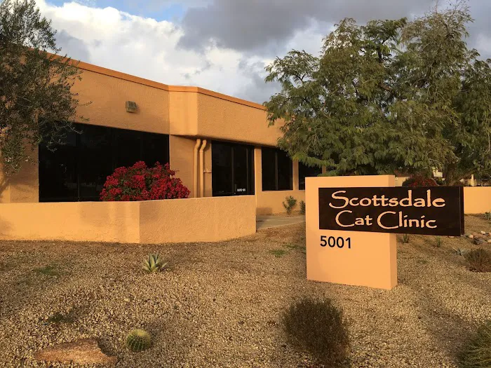Scottsdale Cat Clinic Picture 1