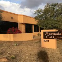 Scottsdale Cat Clinic ico