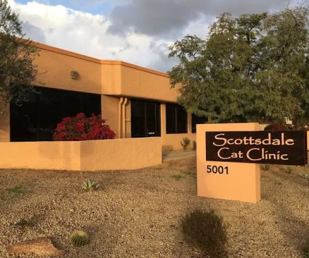 Scottsdale Cat Clinic