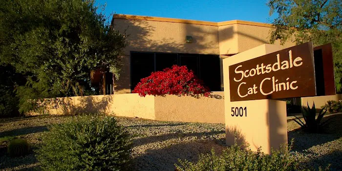 Scottsdale Cat Clinic Picture 2