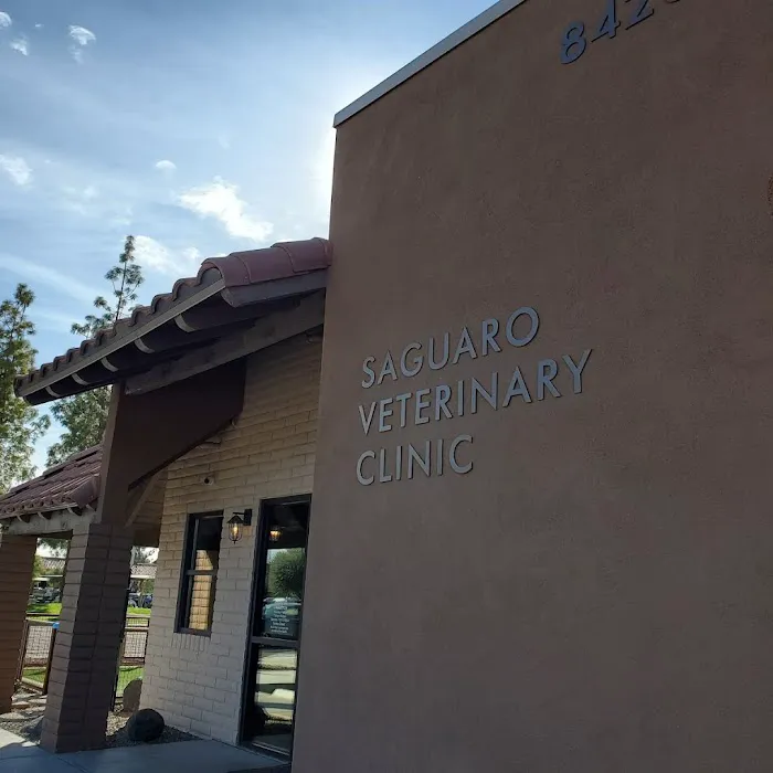 Saguaro Veterinary Clinic Picture 8