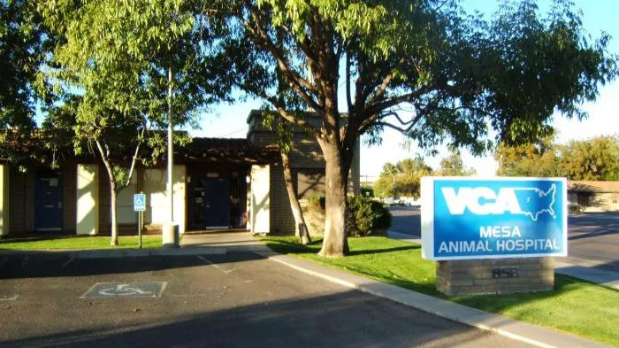 VCA Mesa Animal Hospital Picture 1