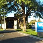 VCA Mesa Animal Hospital